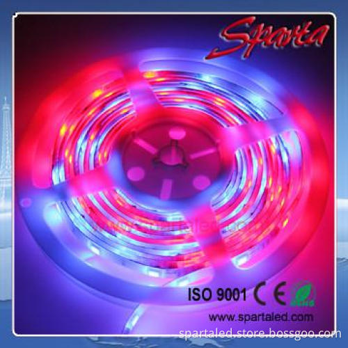 Chase Flexible LED Moving Strip Lighting 5050 SMD